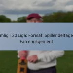 Hjemlig T20 Liga: Format, Spiller deltagelse, Fan engagement