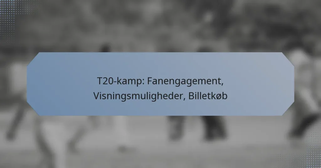 T20-kamp: Fanengagement, Visningsmuligheder, Billetkøb
