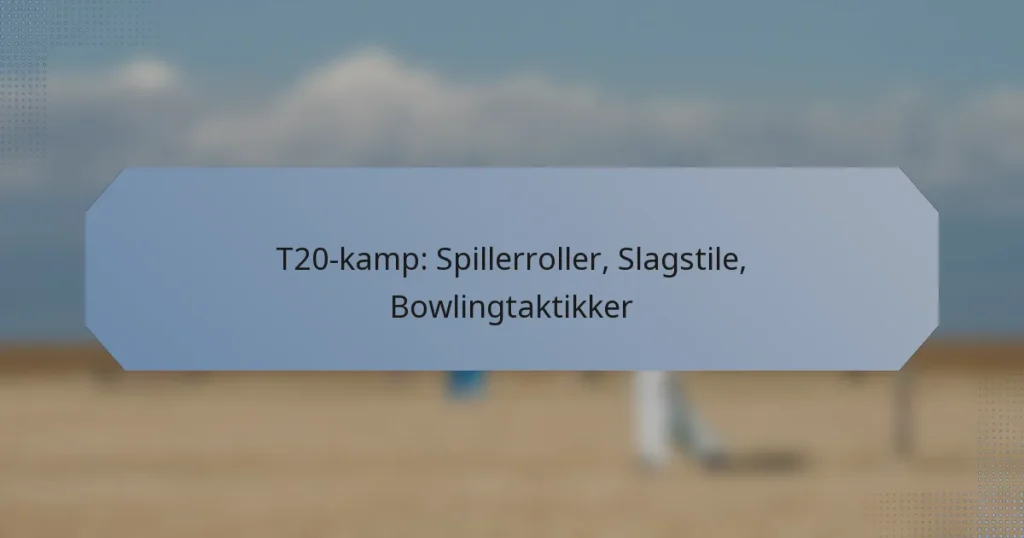 T20-kamp: Spillerroller, Slagstile, Bowlingtaktikker