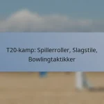 T20-kamp: Spillerroller, Slagstile, Bowlingtaktikker