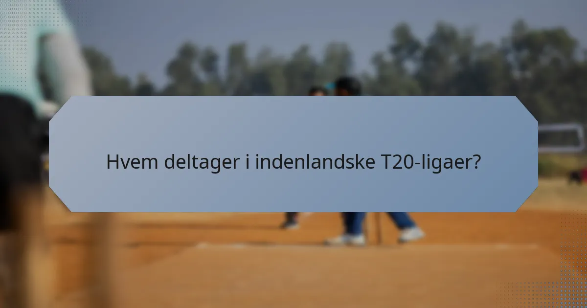 Hvem deltager i indenlandske T20-ligaer?
