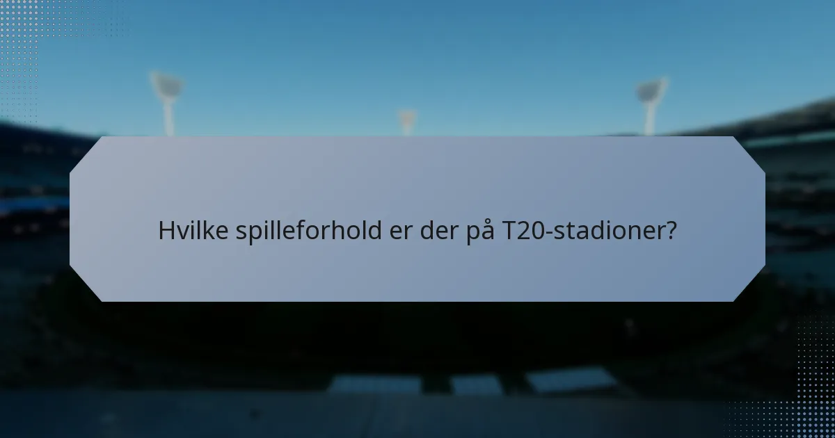 Hvilke spilleforhold er der på T20-stadioner?