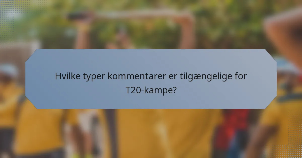 Hvilke typer kommentarer er tilgængelige for T20-kampe?