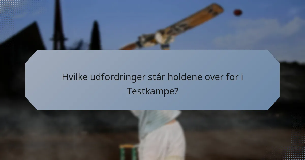 Hvilke udfordringer står holdene over for i Testkampe?