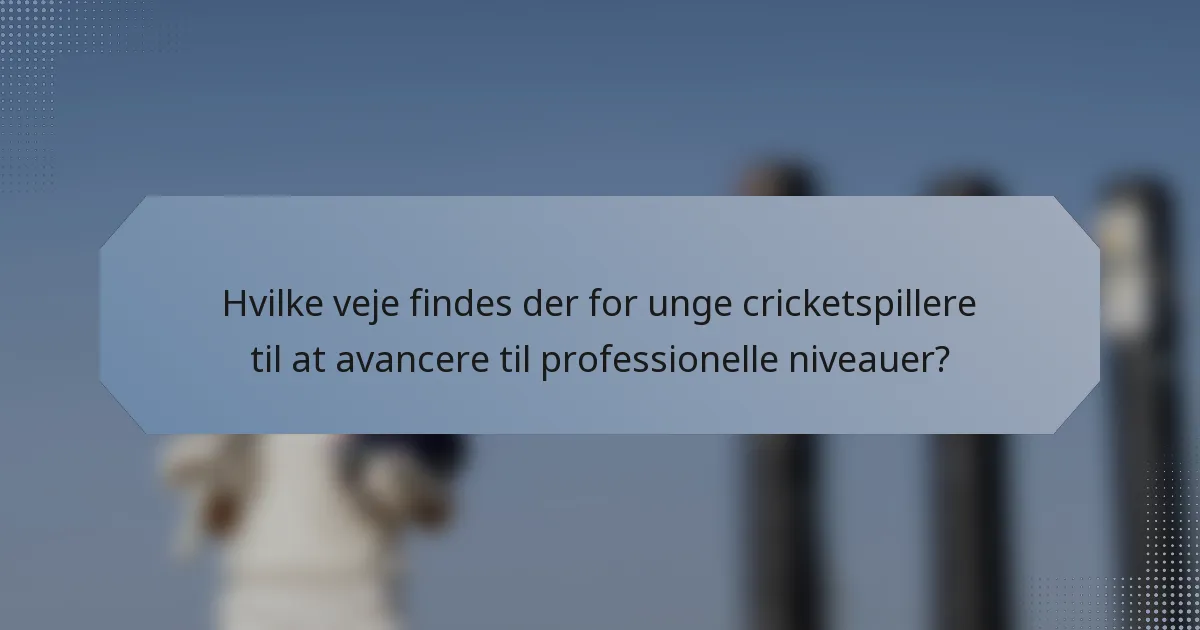 Hvilke veje findes der for unge cricketspillere til at avancere til professionelle niveauer?