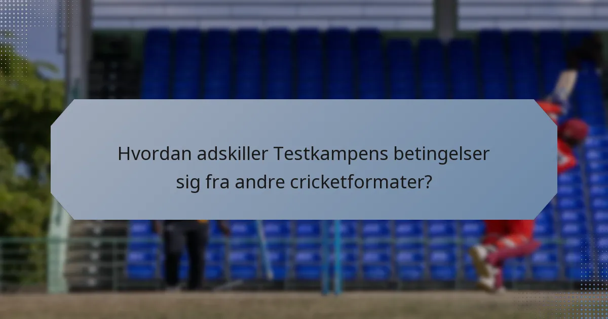 Hvordan adskiller Testkampens betingelser sig fra andre cricketformater?