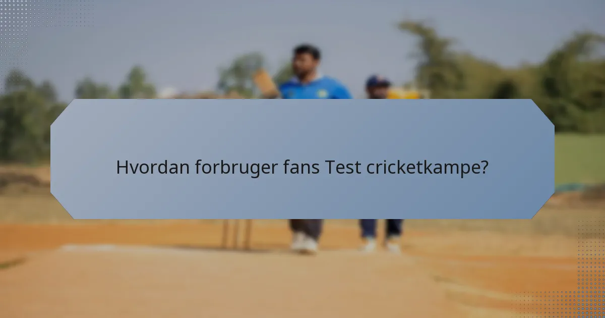 Hvordan forbruger fans Test cricketkampe?