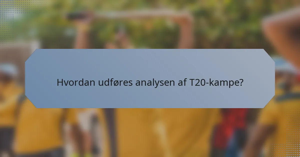 Hvordan udføres analysen af T20-kampe?